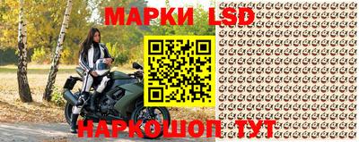 сатива Кандалакша