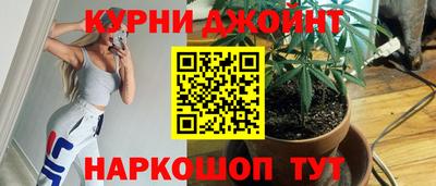 прущие крисы Камышлов