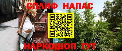 сатива Кандалакша