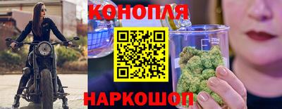 сатива Кандалакша
