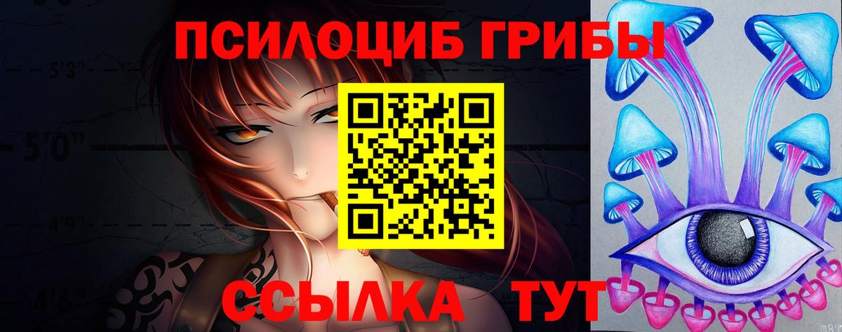 Галлюциногенные грибы Cubensis  Вход с VPN  Красный Сулин  Псилоцибиновые грибы прущие грибы 